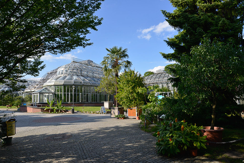 Berlin - Botanischer Garten