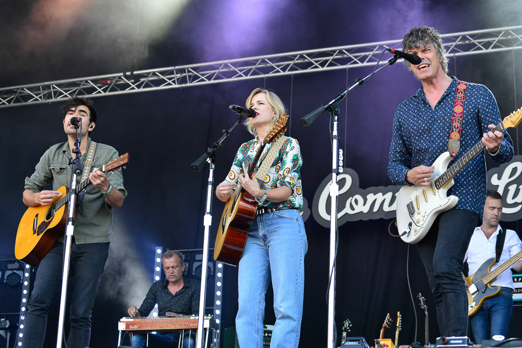 The Common Linnets 2017