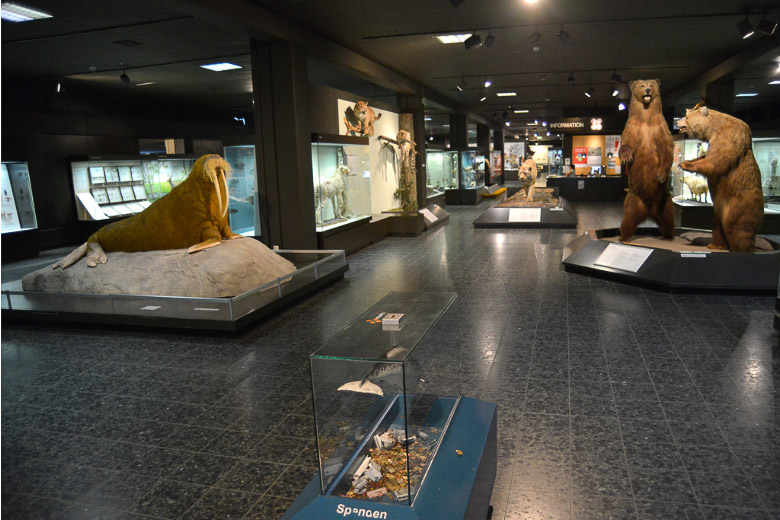 Hamburg- Zoologisches Museum